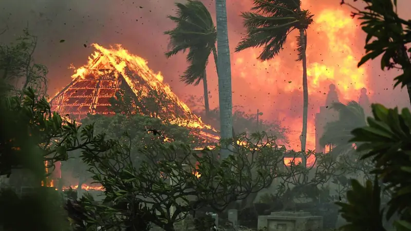 Maui Wildfires — Global Empowerment Mission relief operation